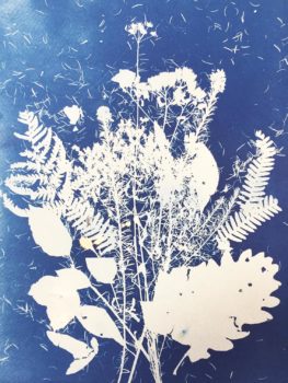 Cyanotype Floral